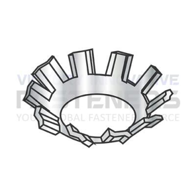 6 EXT TOOTH COUNTERSUNK L/W STAINLESS STEEL